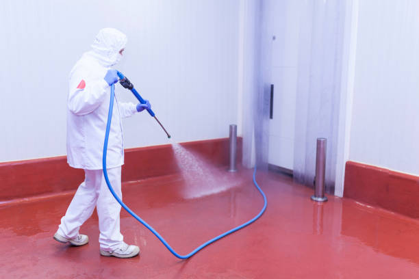 Pre-Holiday Cleaning in Sperry, OK